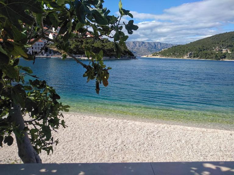Curri Apartament